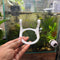 Aquarium Inverted Tank Holder / Betta Penthouse