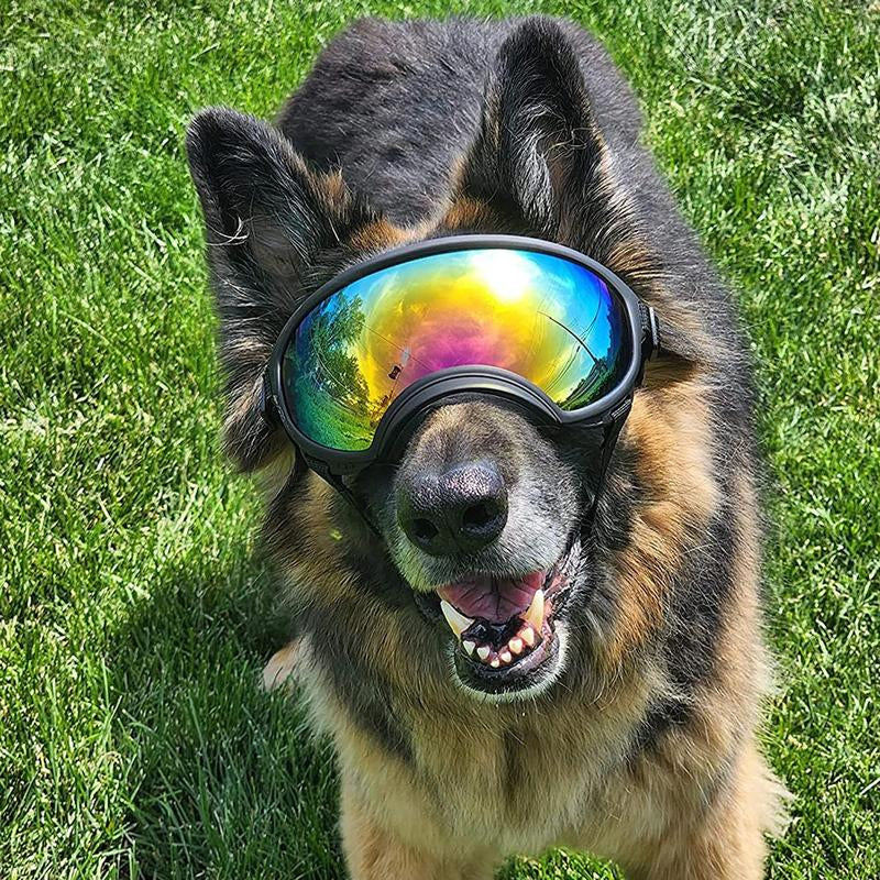 Medium to Large Size Dog Sunglasses, Waterproof, Windproof, Sunproof and Uv-Resistant Glasses for Dogs