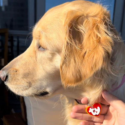 Heart Shaped Dog Tag