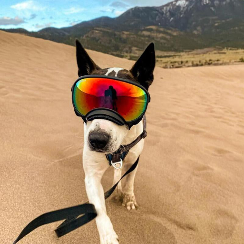 Medium to Large Size Dog Sunglasses, Waterproof, Windproof, Sunproof and Uv-Resistant Glasses for Dogs