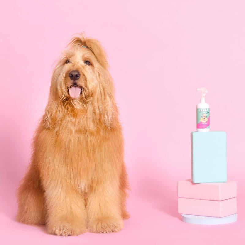 Floof Juice - Dry Shampoo for Dogs